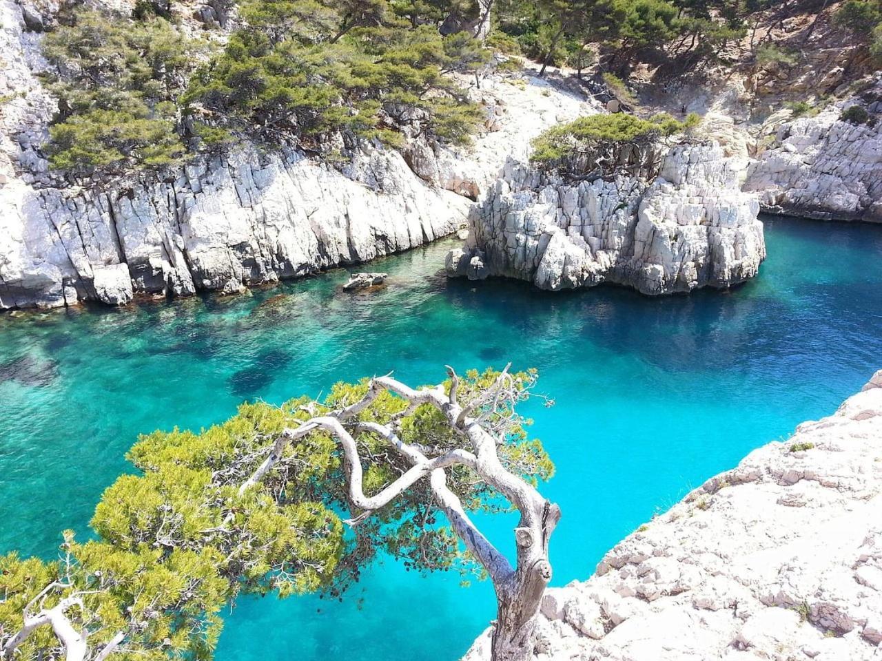 Villa Mathaia Cassis روكفور-لا-بيدول المظهر الخارجي الصورة